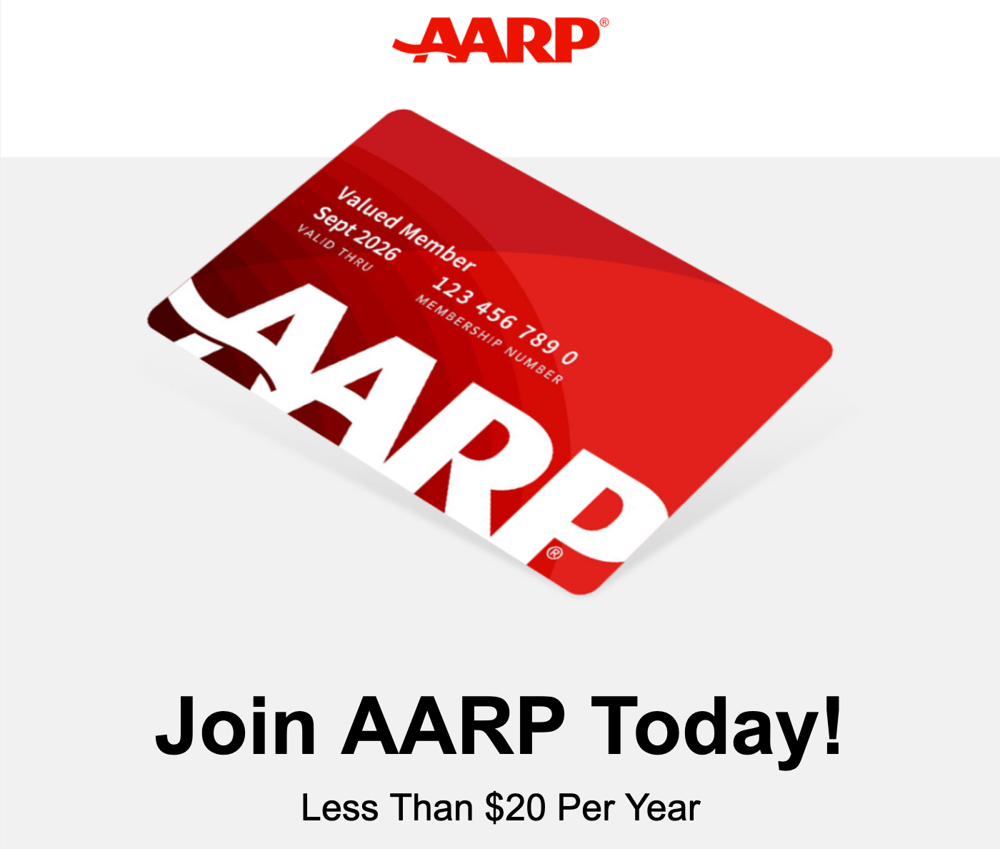 Premium furniture collection - high-quality sofas and seating solutions from ShopSpire